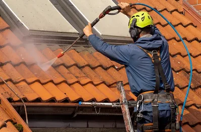 Démoussage et hydrofuge de toiture à Viviez
